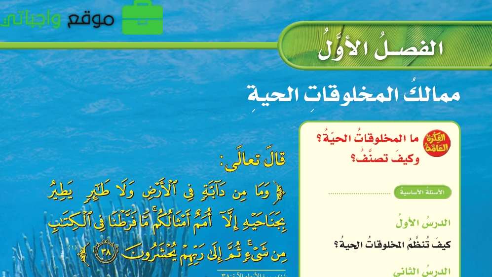 حل الفصل الاول ممالك المخلوقات الحية علوم رابع ابتدائي ف1 1446 موقع